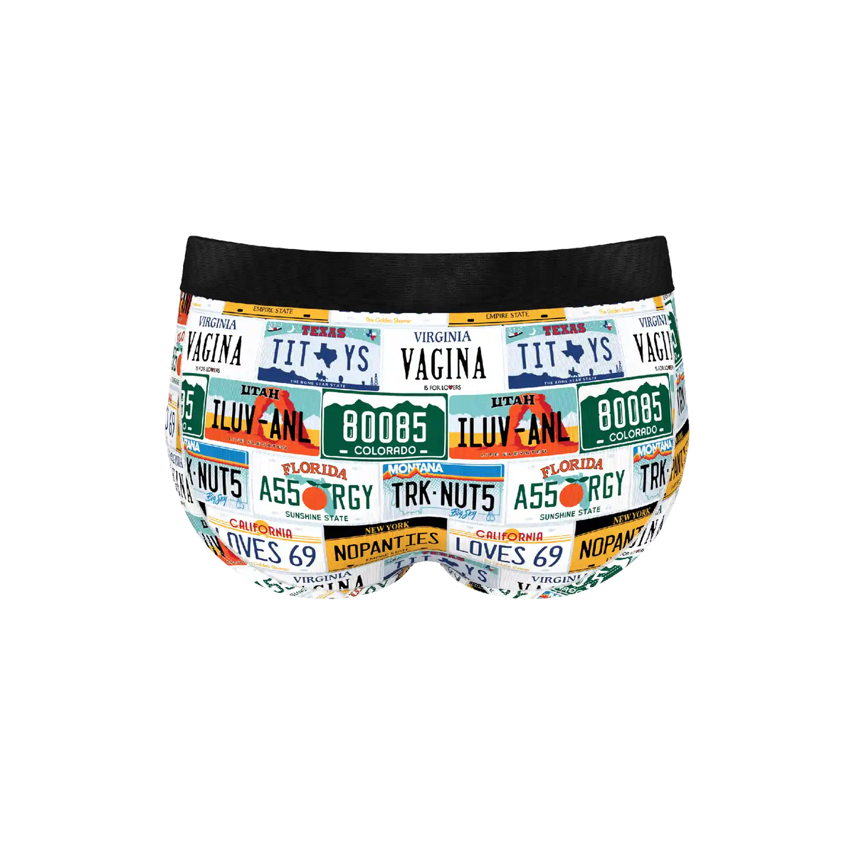 The DMV Catastrophe | License Plates Ball Hammock® Pouch Underwear Briefs