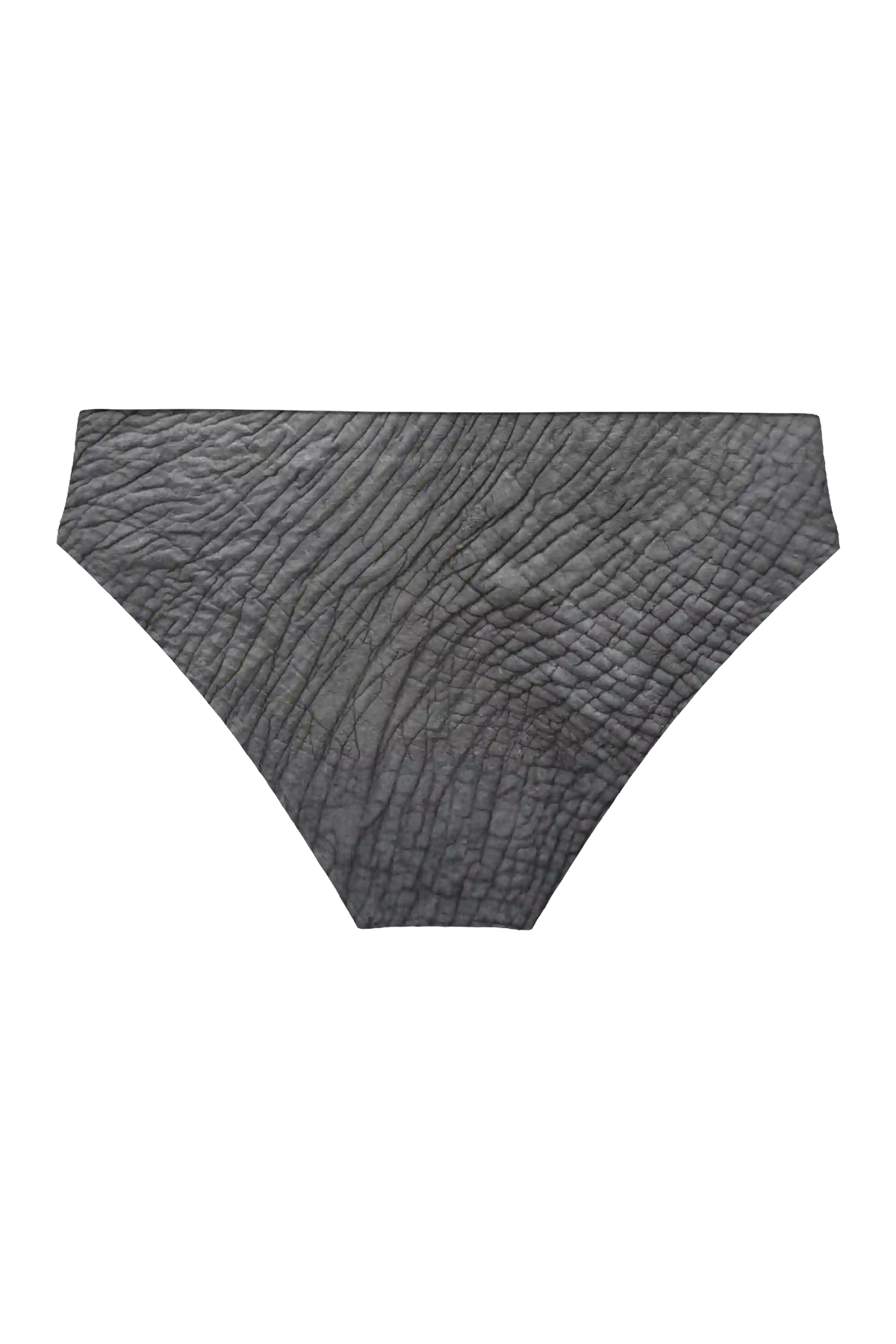 The Junk Trunk | Elephant Ball Hammock® Pouch Swim Briefs
