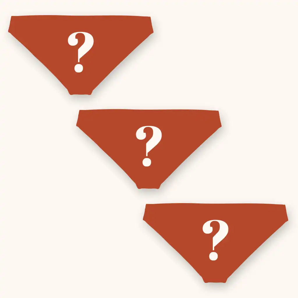 The Mystery | Bikini Underwear 3 Pack