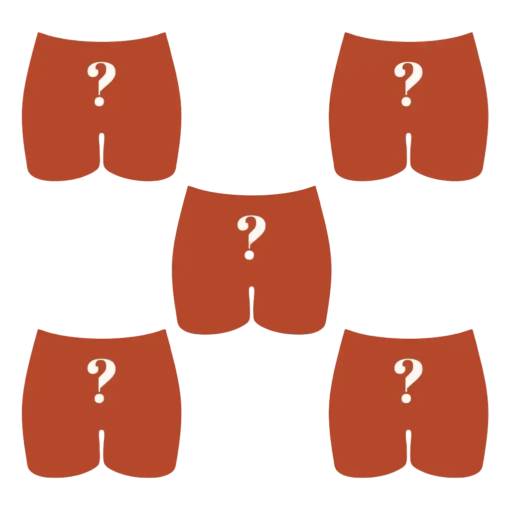 The Mystery Bundle | Women’s Boxers 5 Pack