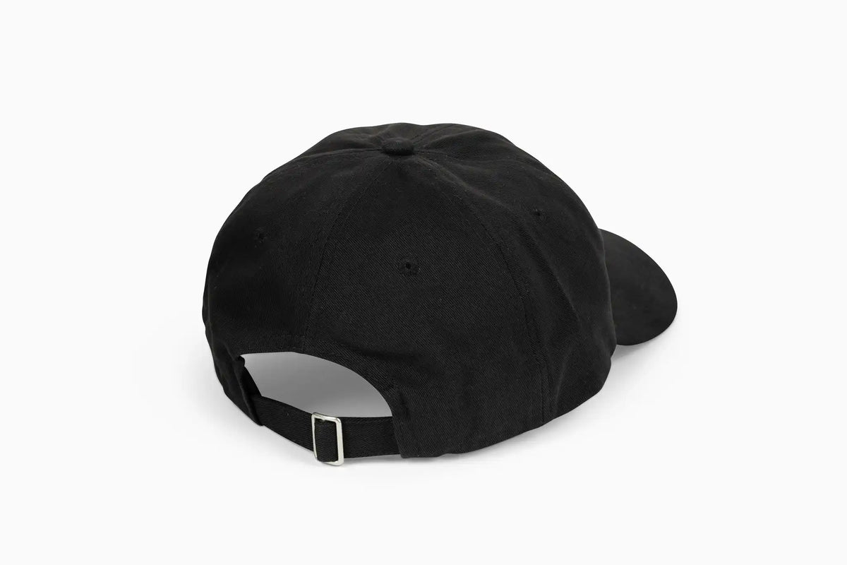 Silly Goose Hat