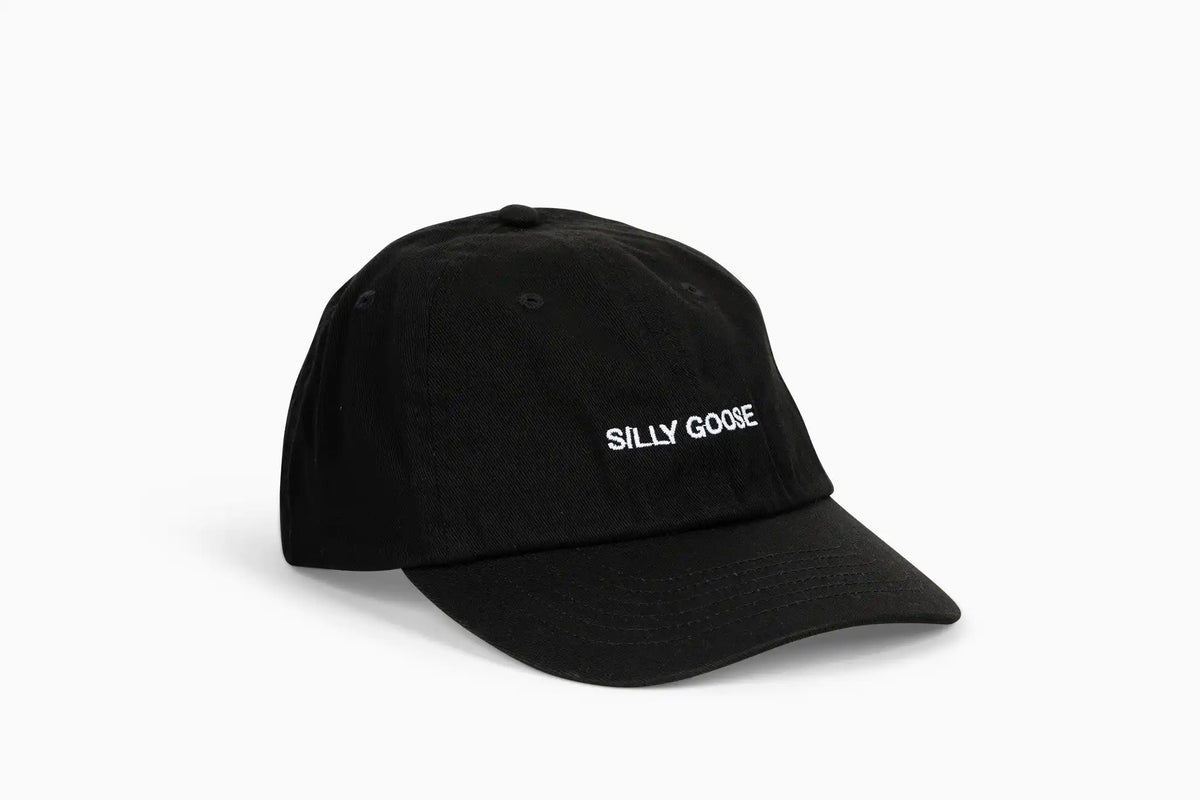 Silly Goose Hat