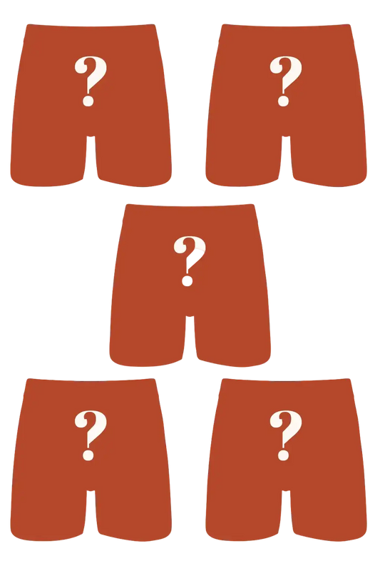 The Mystery Bundle | Ball Hammock® Pouch Boxer Briefs with Fly 5 Pack