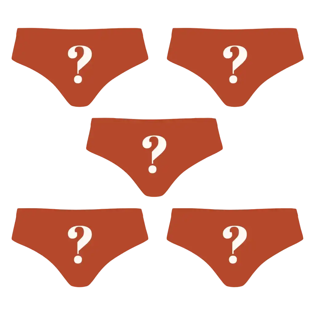 The Mystery Bundle | Cheeky Underwear 5 Pack