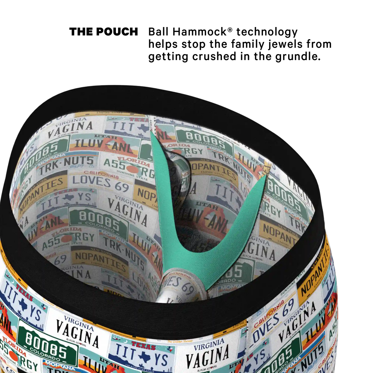 The DMV Catastrophe | License Plates Ball Hammock® Boxer - Long Leg