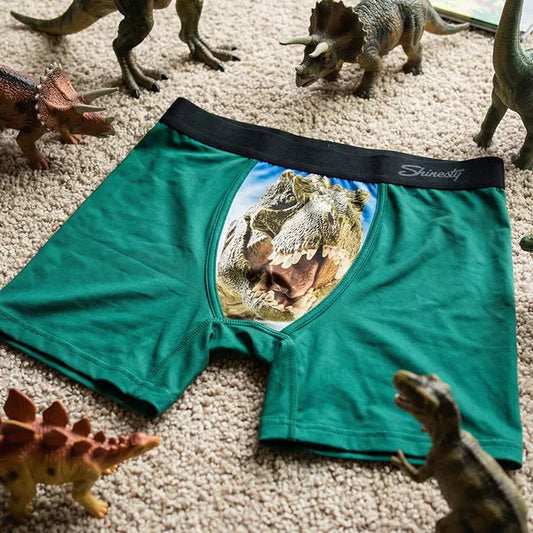 The Mad Lizard | Dinosaur Youth Boxer Briefs