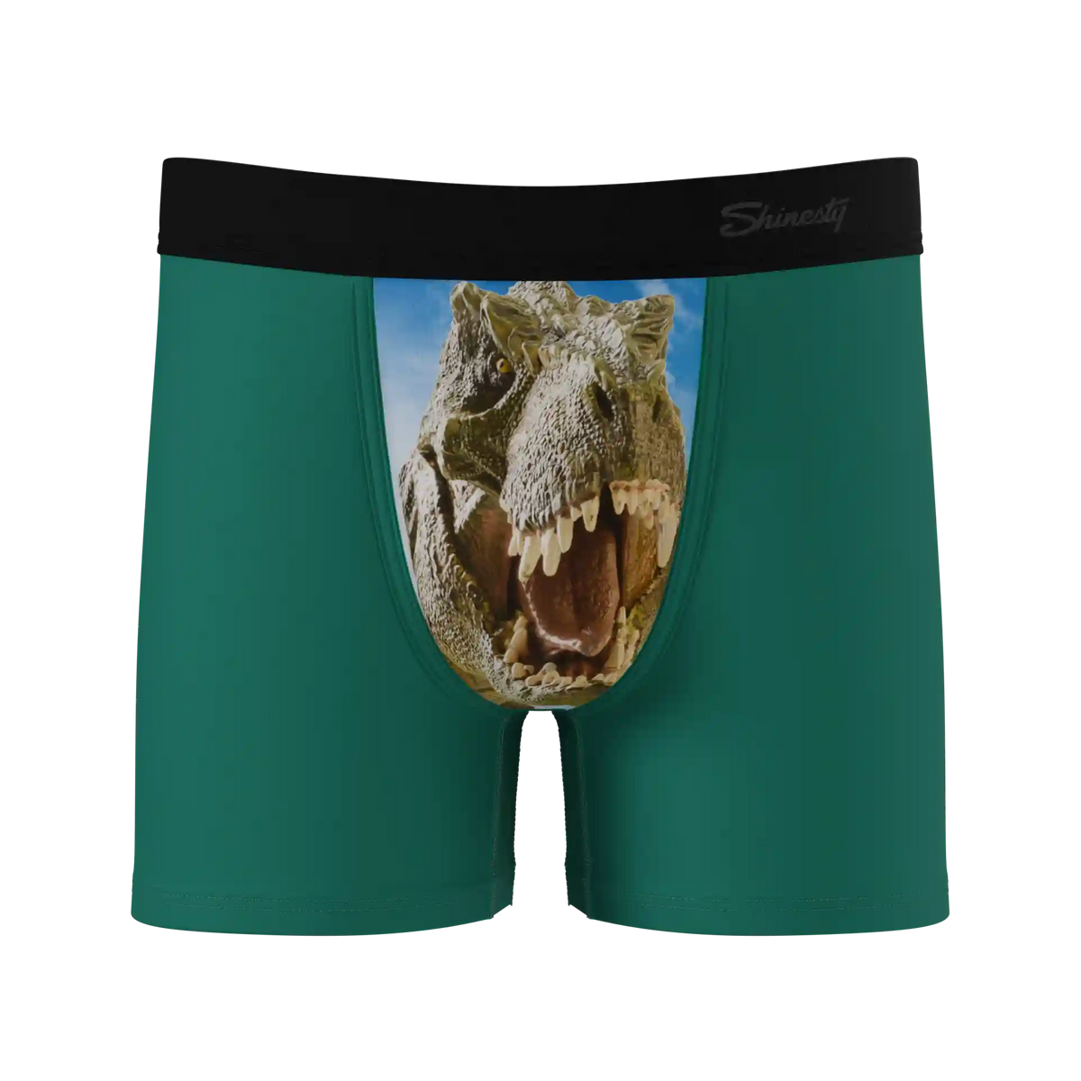 The Mad Lizard | Dinosaur Youth Boxer Briefs