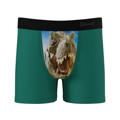 The Mad Lizard | Dinosaur Youth Boxer Briefs