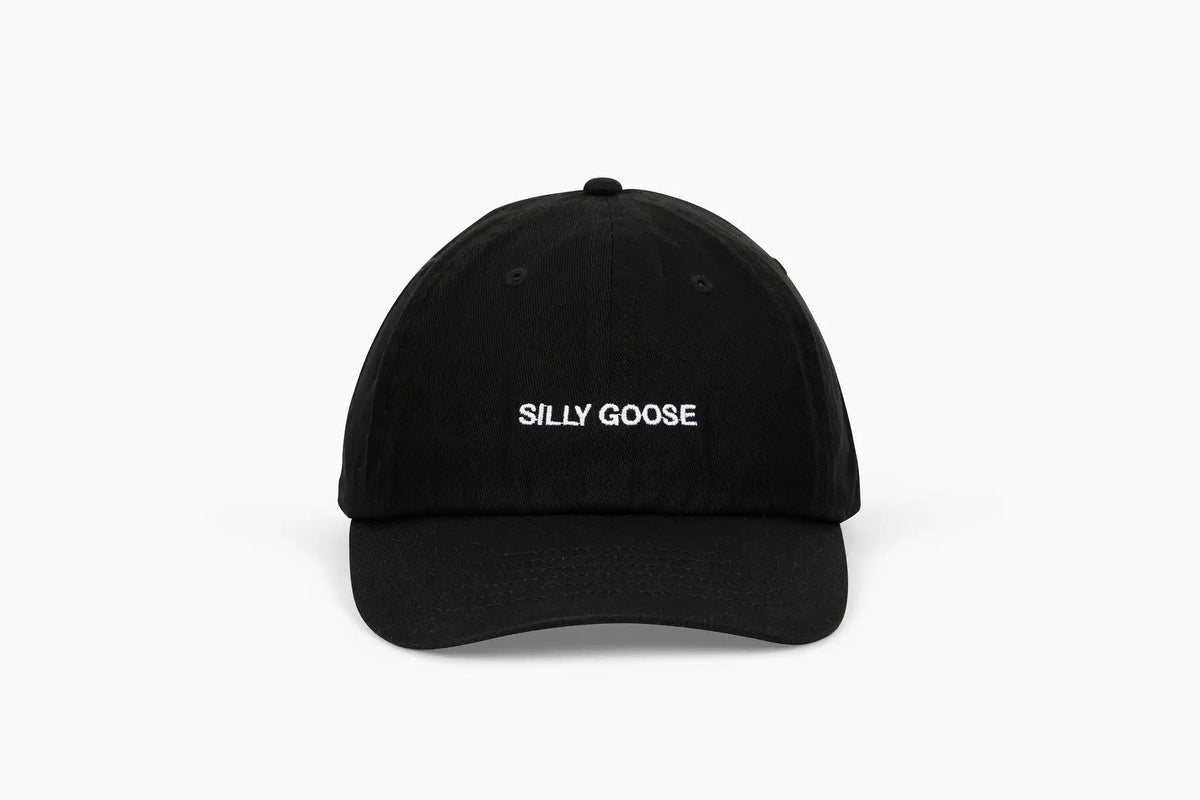 Silly Goose Hat