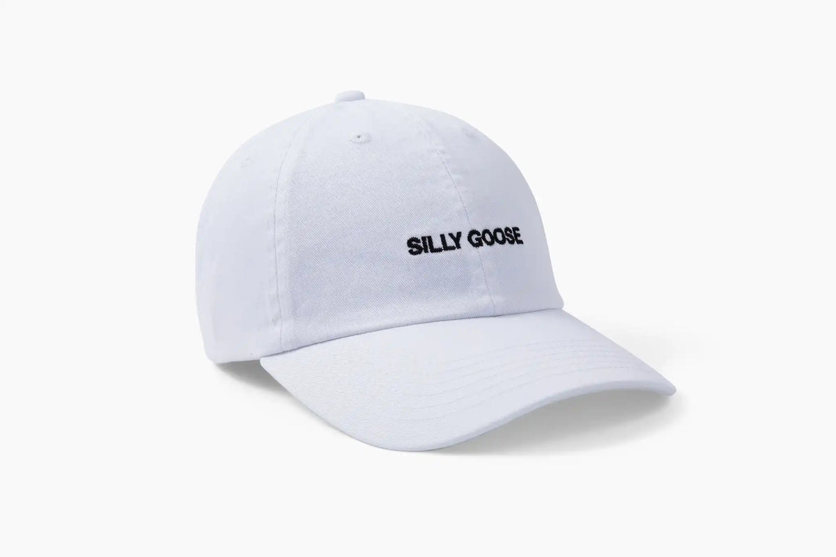 Silly Goose Hat