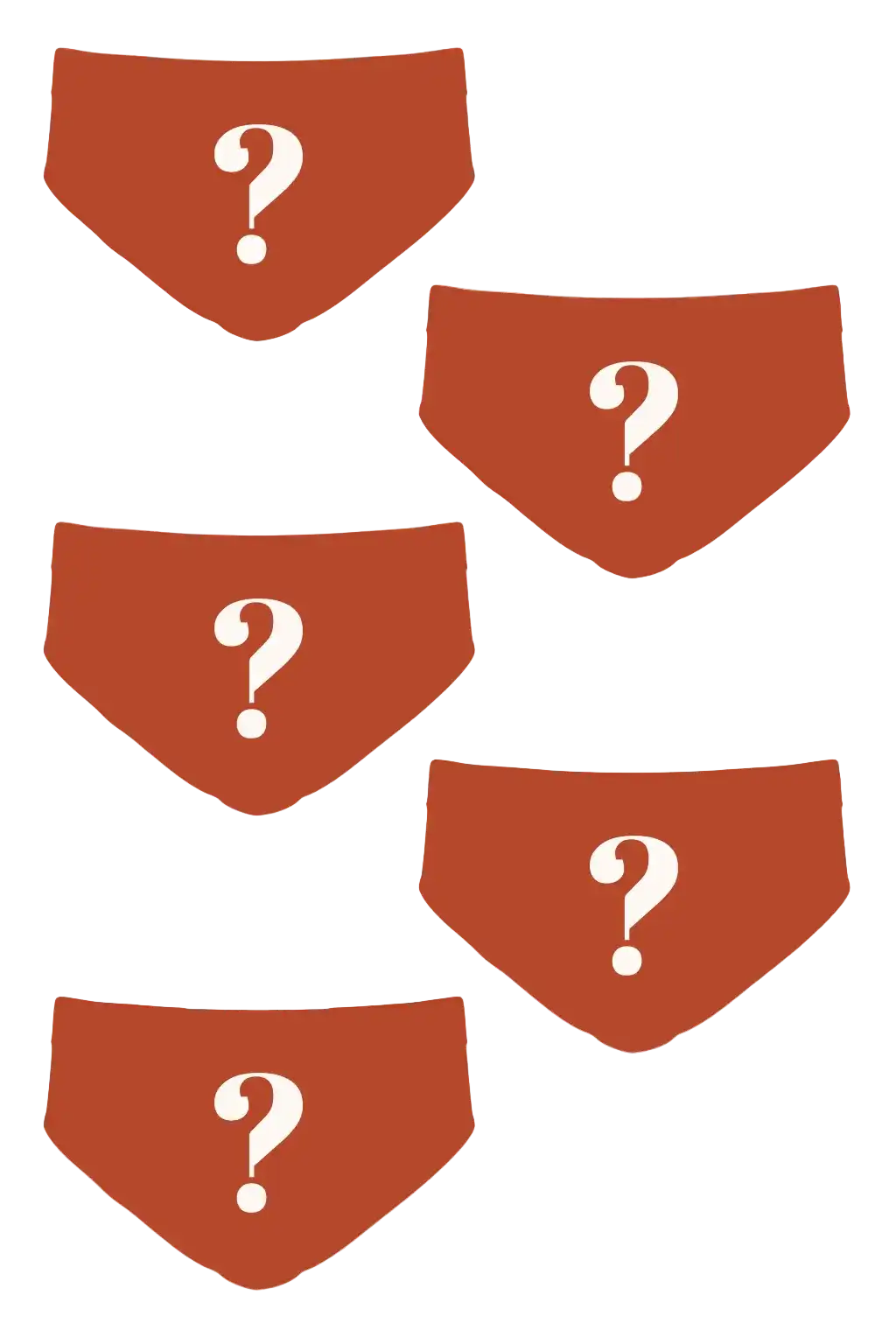 The Mystery Bundle | Ball Hammock® Pouch Briefs 5 Pack