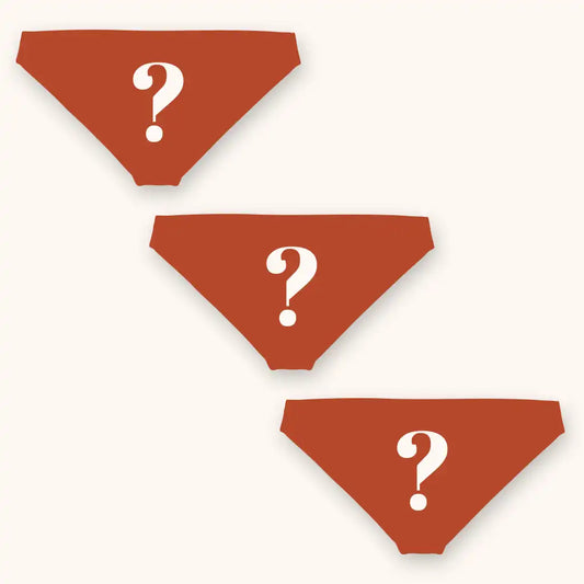 The Mystery | Bikini Underwear 3 Pack