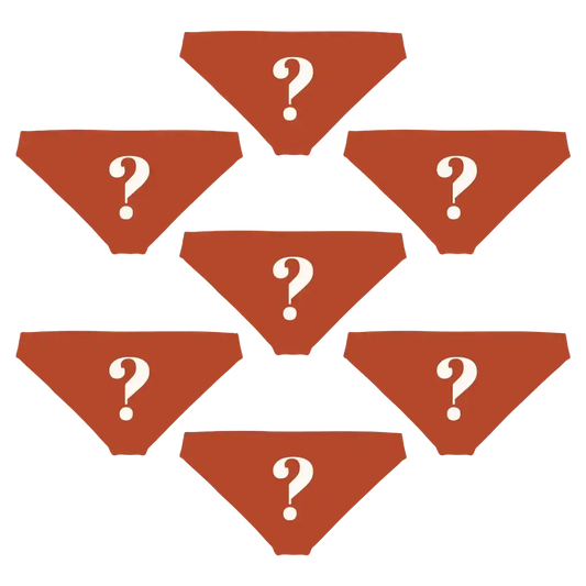 The Mystery | Bikini Underwear 7 Pack