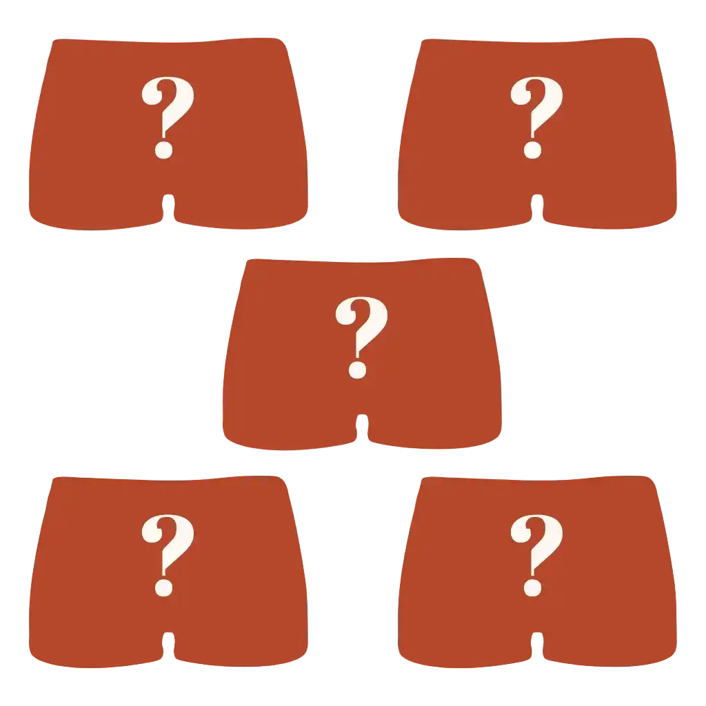 The Mystery Bundle | Boyshort Underwear 5 Pack