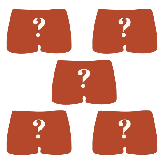 The Mystery Bundle | Boyshort Underwear 5 Pack