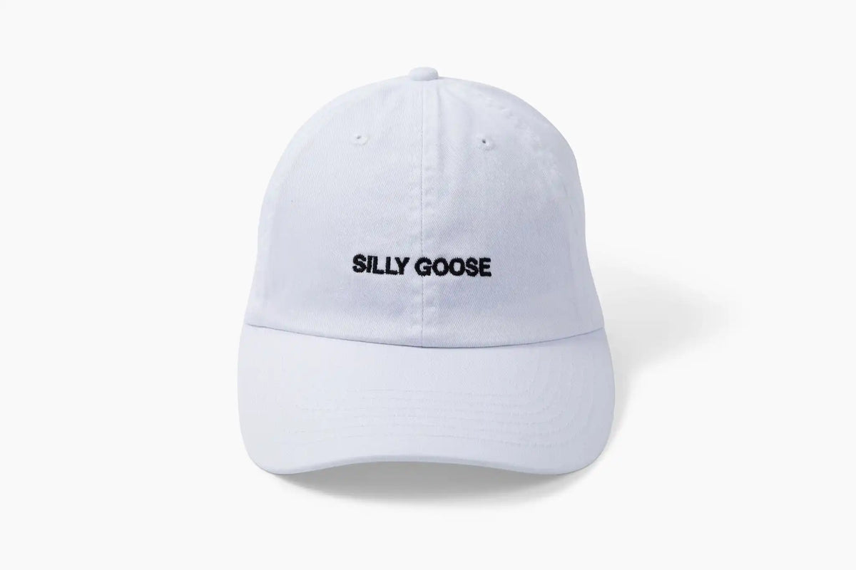 Silly Goose Hat