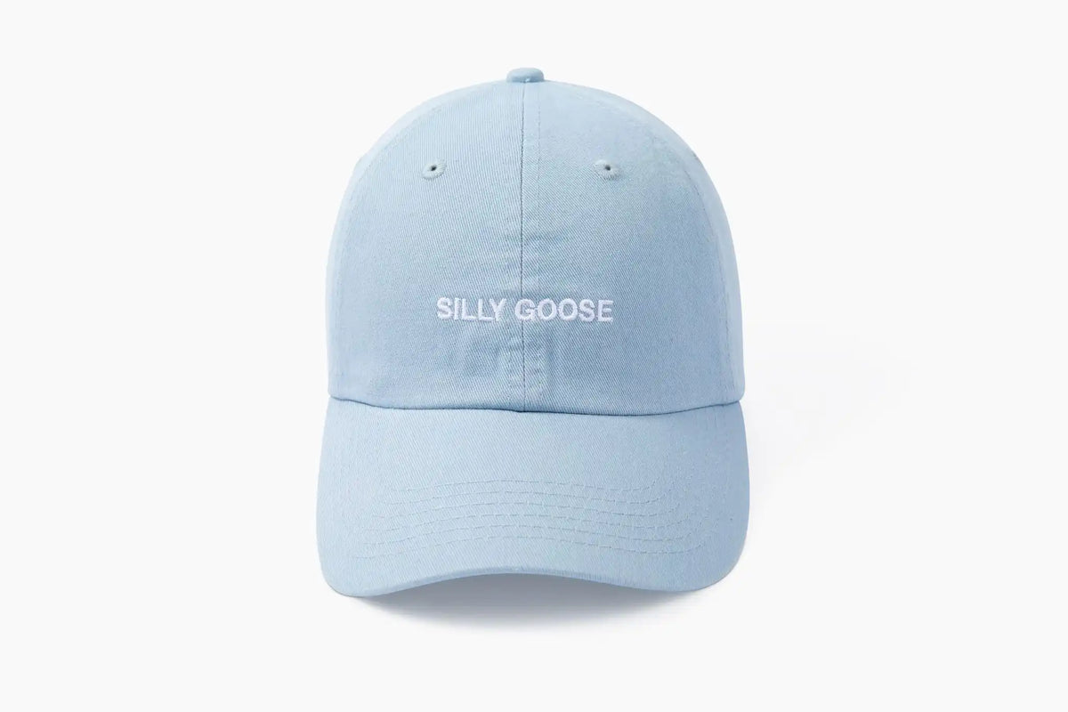 Silly Goose Hat