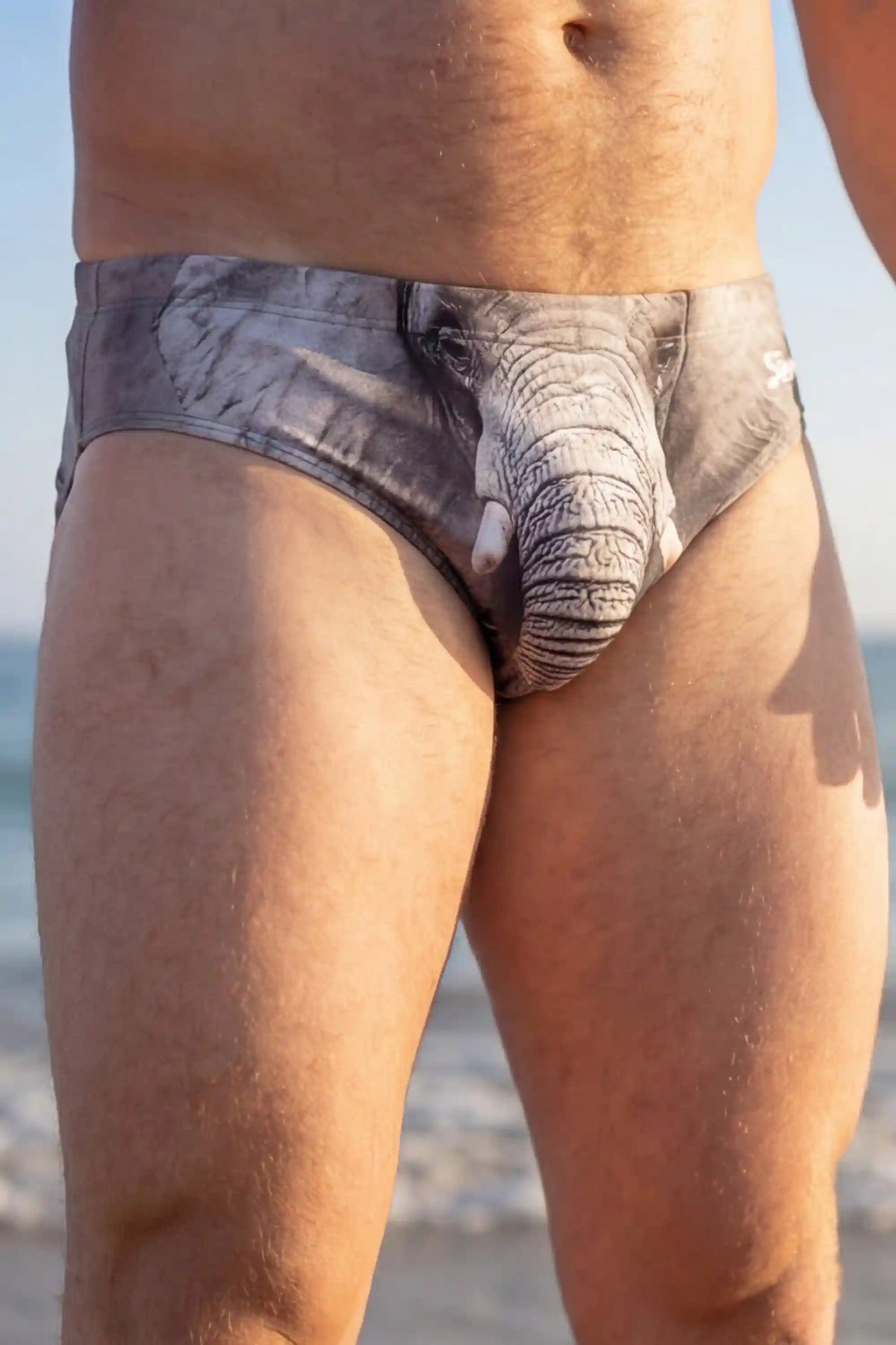 The Junk Trunk | Elephant Ball Hammock® Pouch Swim Briefs