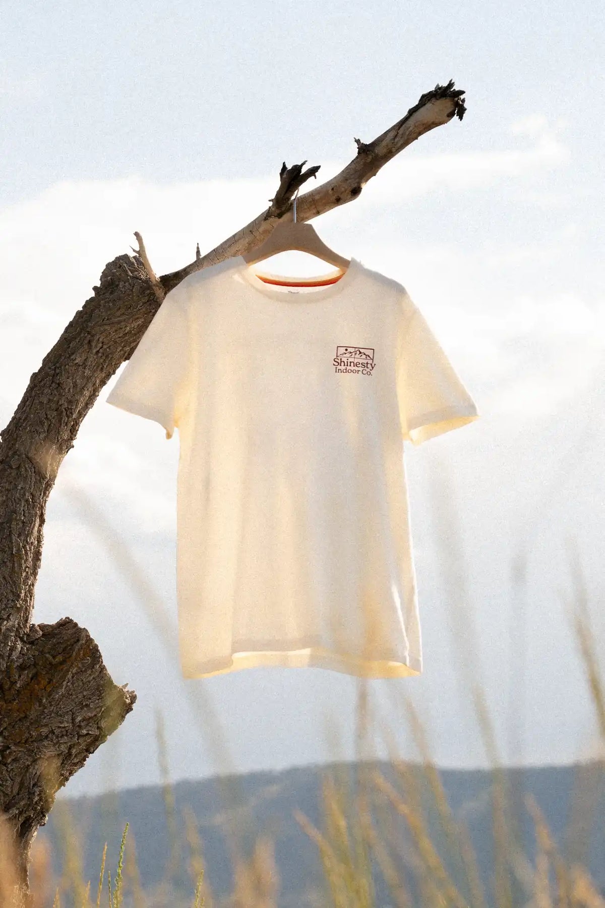 The Shinesty Indoor Co | Cabin Everyman™ T Shirt