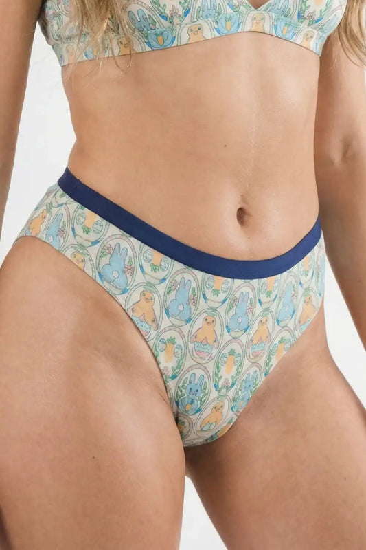 The Chicks Dig It | Pastel Easter Cheeky Underwear