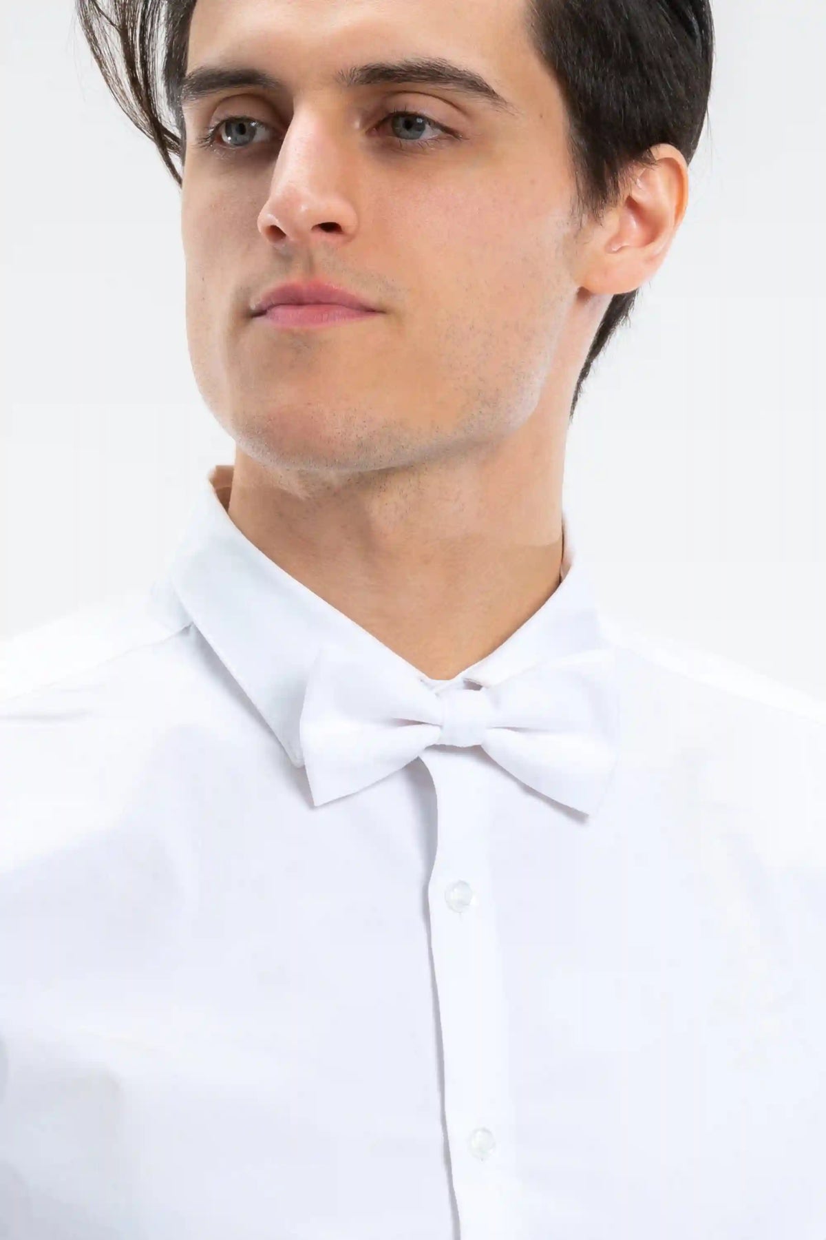 The White Tiger | White Bow Tie