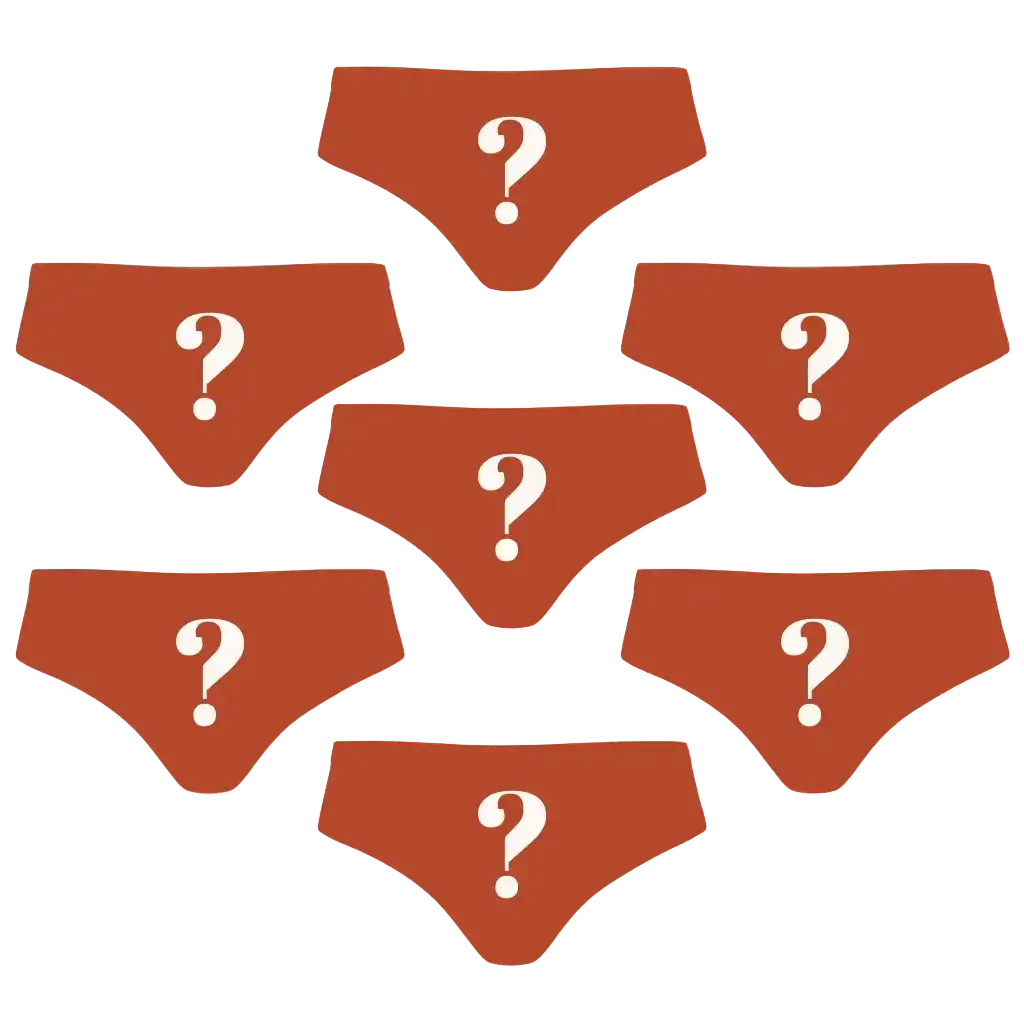 The Mystery | Cheeky Underwear 7 Pack