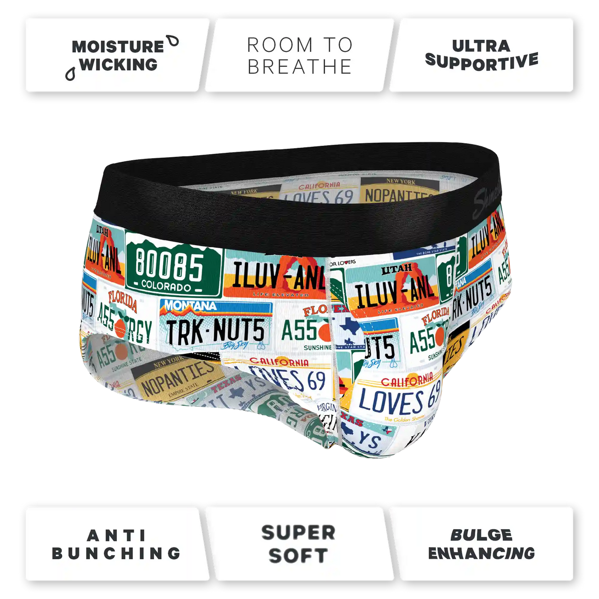 The DMV Catastrophe | License Plates Ball Hammock® Pouch Underwear Briefs