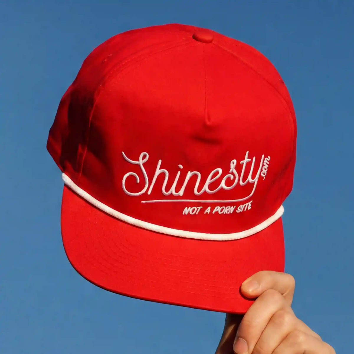 We're Not A Porn Site | Shinesty Snapback Hat